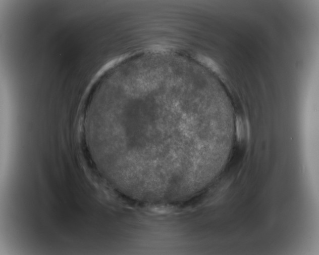 X0000085230579200703301727