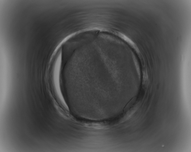 X0000085230580200703301727