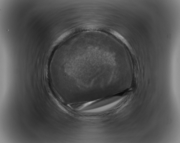 X0000085230581200703301727