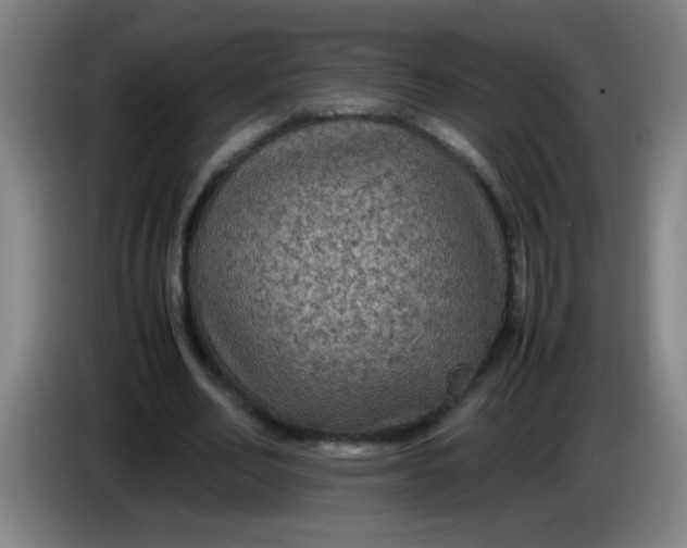 X0000085230582200703301727