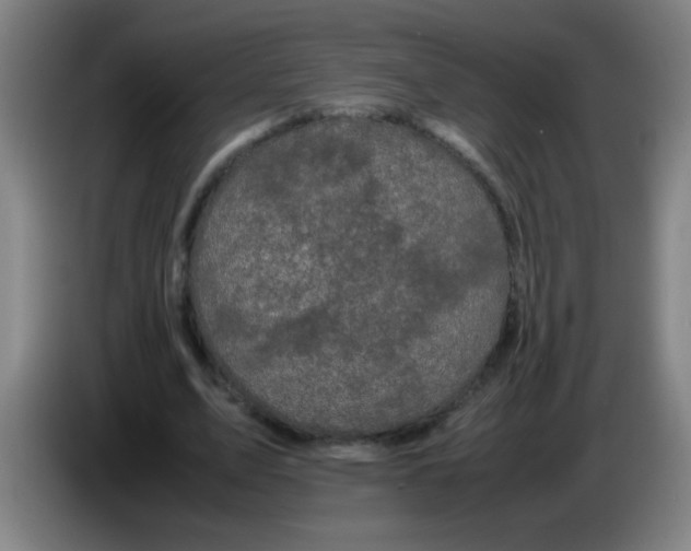 X0000085230583200703301727