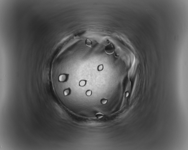 X0000085230585200703301727