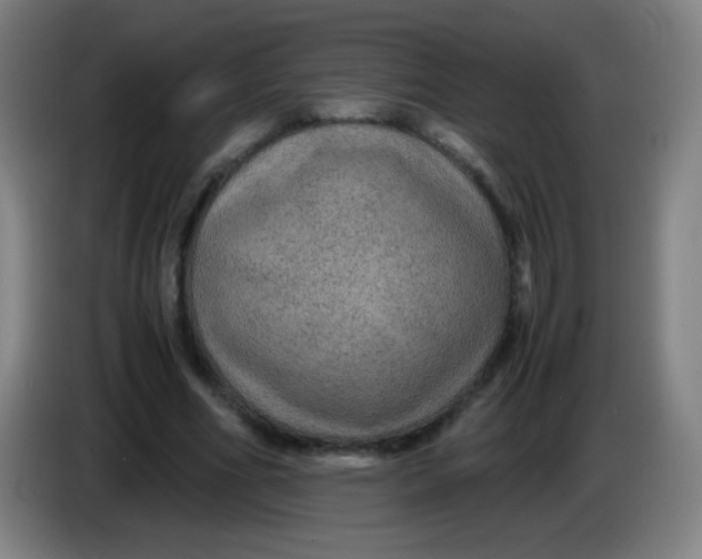 X0000085230586200703301727