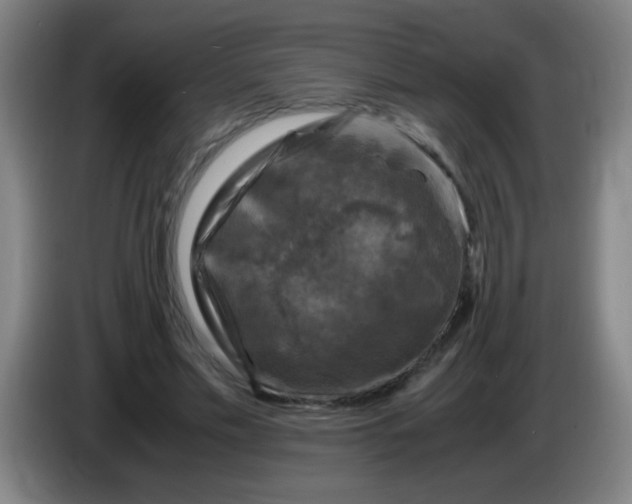 X0000085230589200703301727