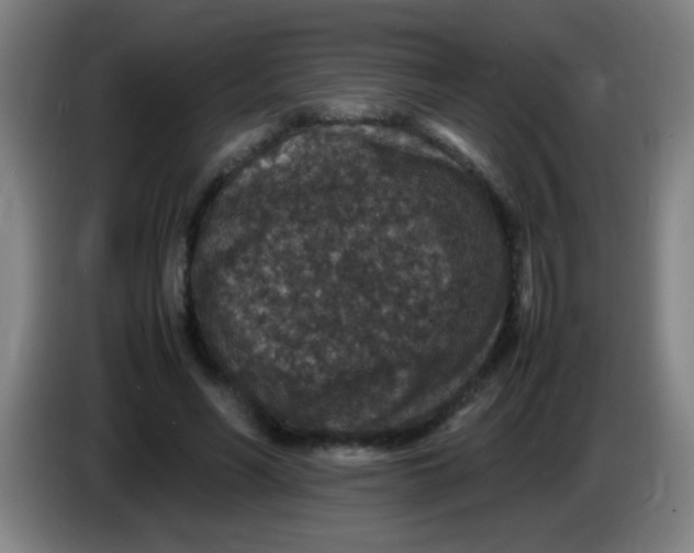 X0000085230590200703301727