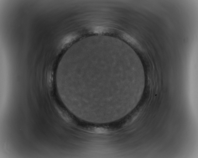 X0000085230592200703301727