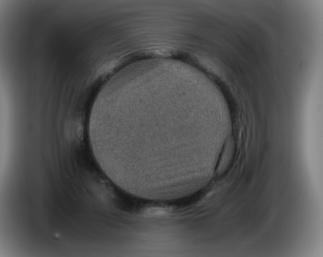 X0000085230595200703301727