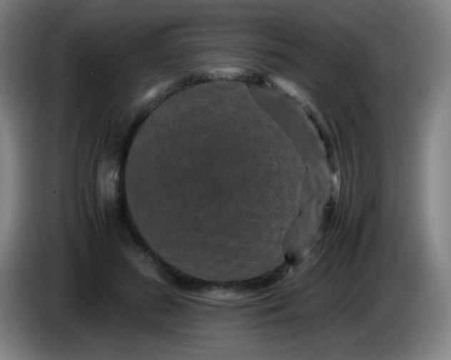 X0000085230596200703301727