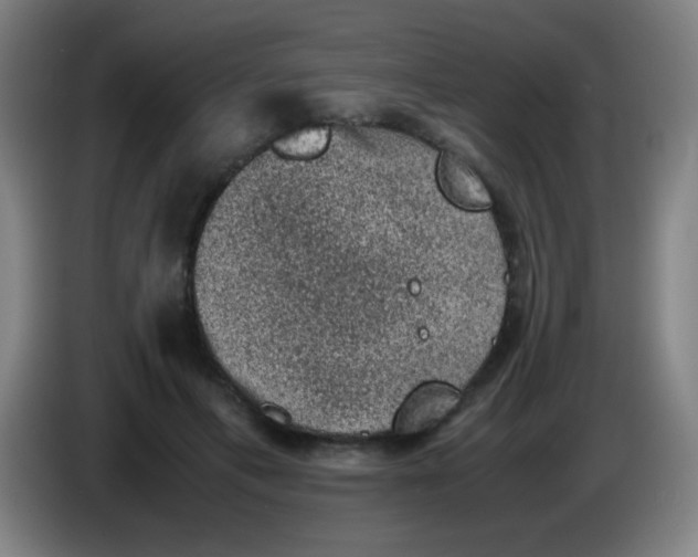 X0000085230597200703301727