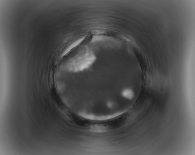 X0000085230598200703301727