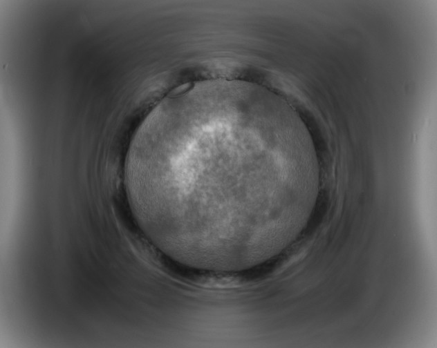 X0000085230599200703301727