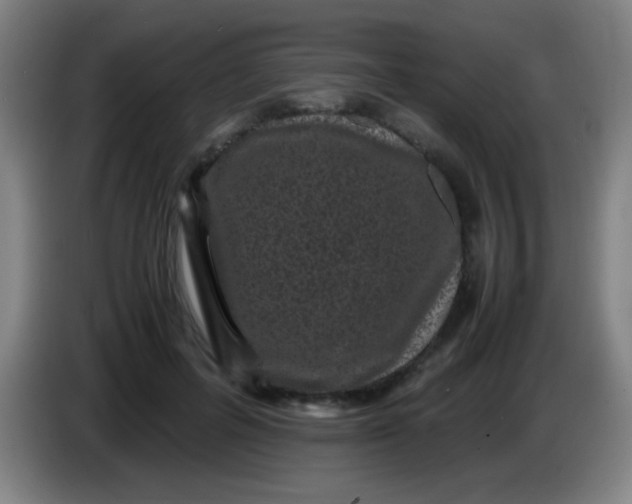 X0000085230600200703301727
