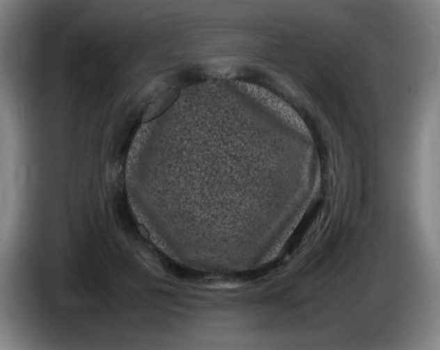 X0000085230601200703301727