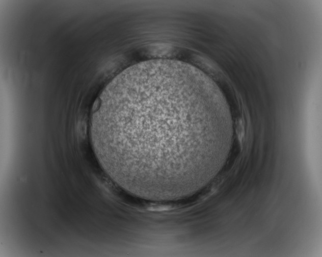 X0000085230602200703301727
