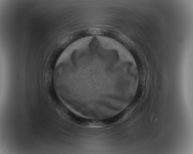 X0000085230603200703301727