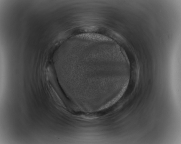 X0000085230604200703301727
