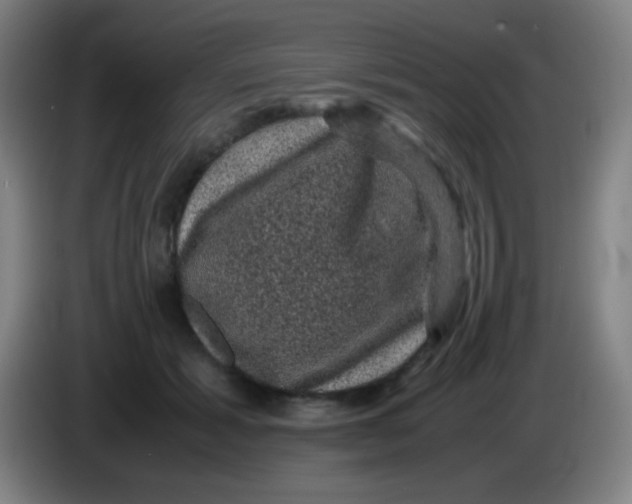 X0000085230605200703301727