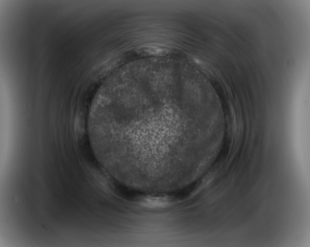 X0000085230606200703301727
