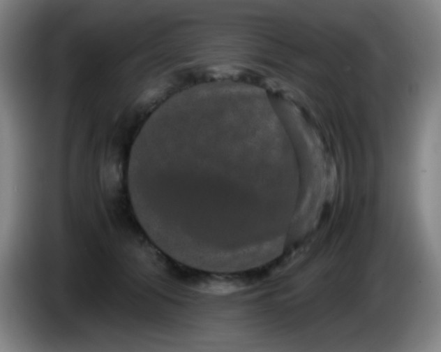 X0000085230608200703301727