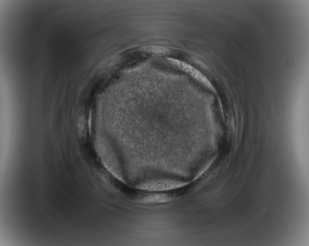 X0000085230609200703301727