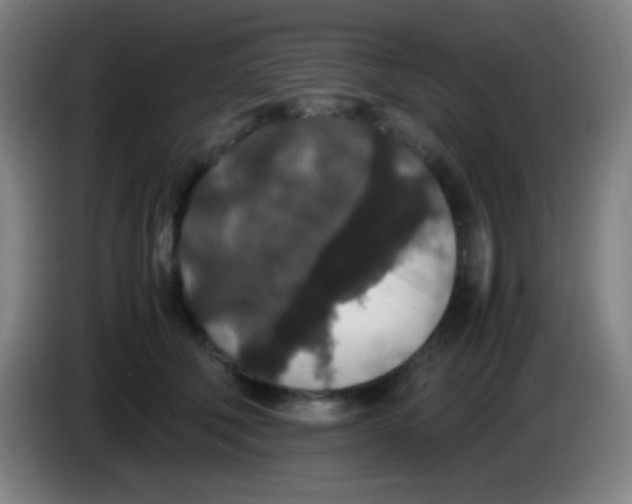 X0000085230610200703301727