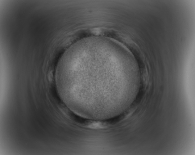 X0000085230611200703301727