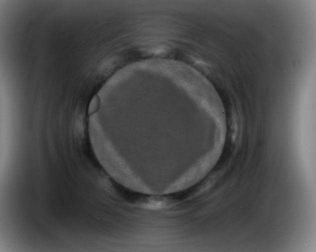 X0000085230612200703301727