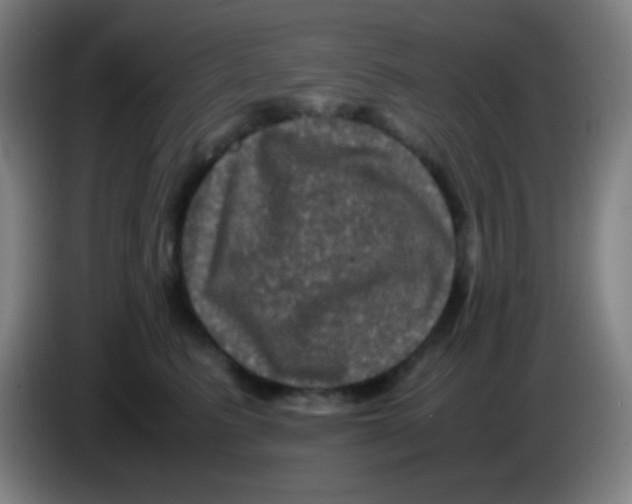 X0000085230615200703301727