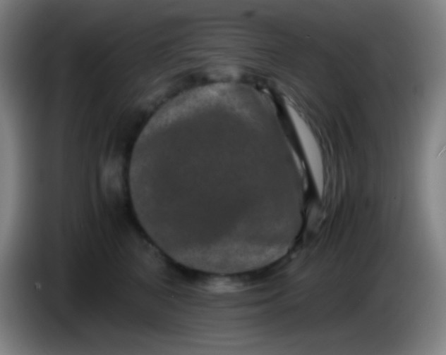 X0000085230616200703301727
