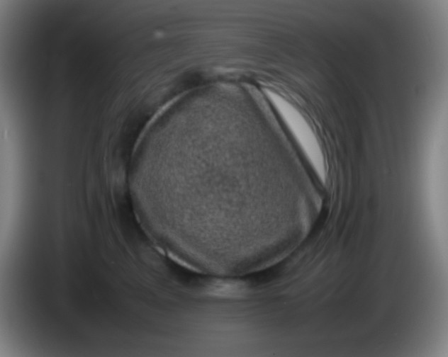 X0000085230617200703301727