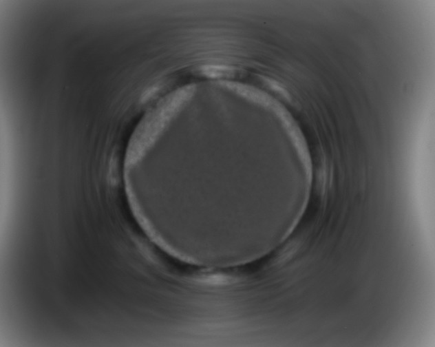 X0000085230620200703301727