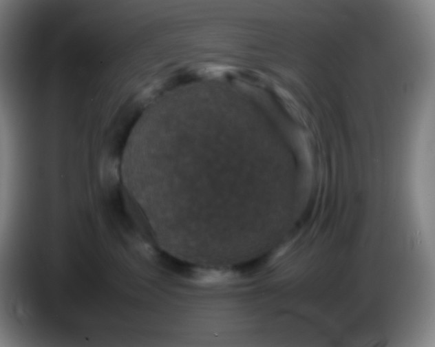 X0000085230621200703301727