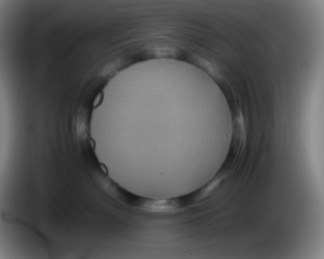 X0000085230622200703301727
