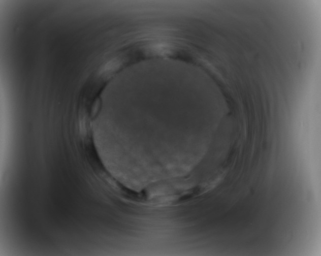 X0000085230624200703301726