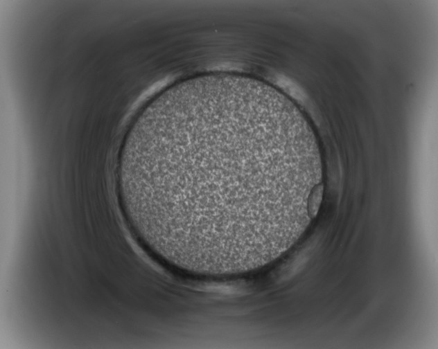 X0000085230625200703301726