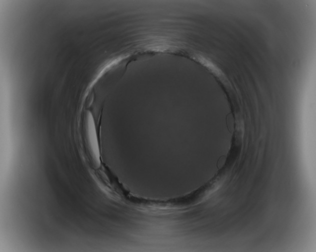 X0000085230626200703301726