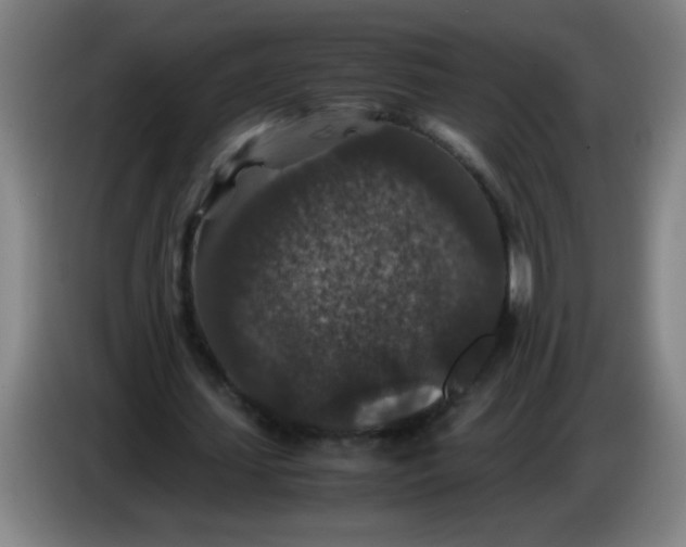 X0000085230627200703301726