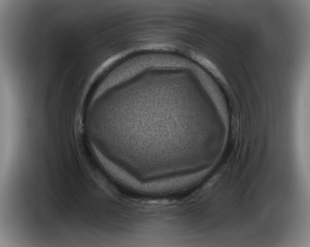 X0000085230628200703301726