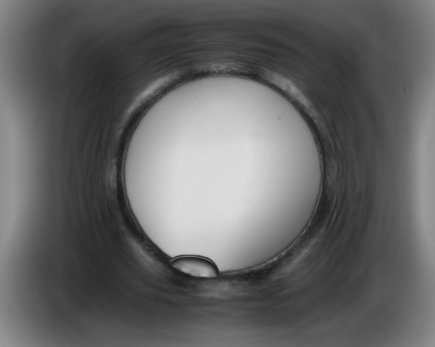 X0000085230629200703301726