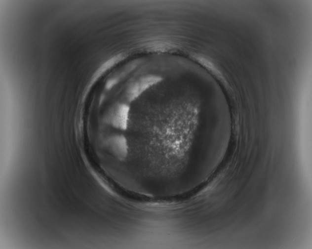 X0000085230630200703301726