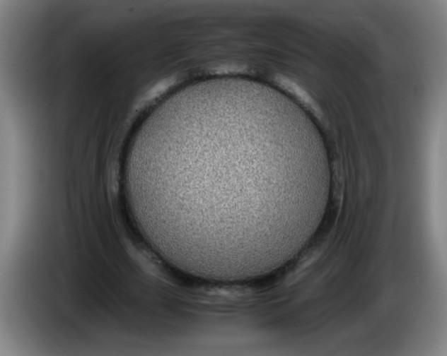 X0000085230631200703301726