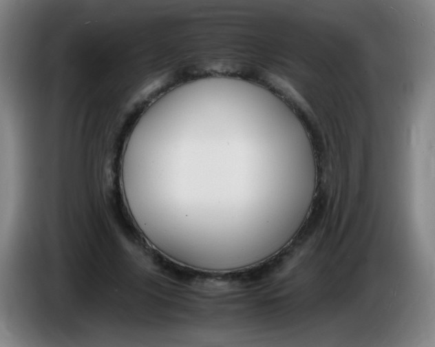 X0000085230635200703301726