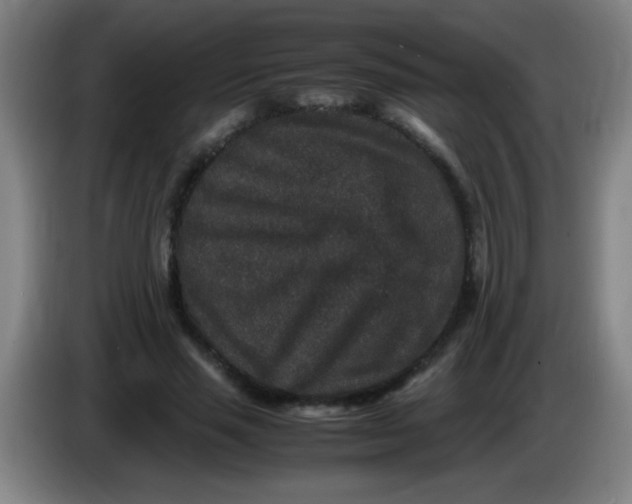 X0000085230637200703301726