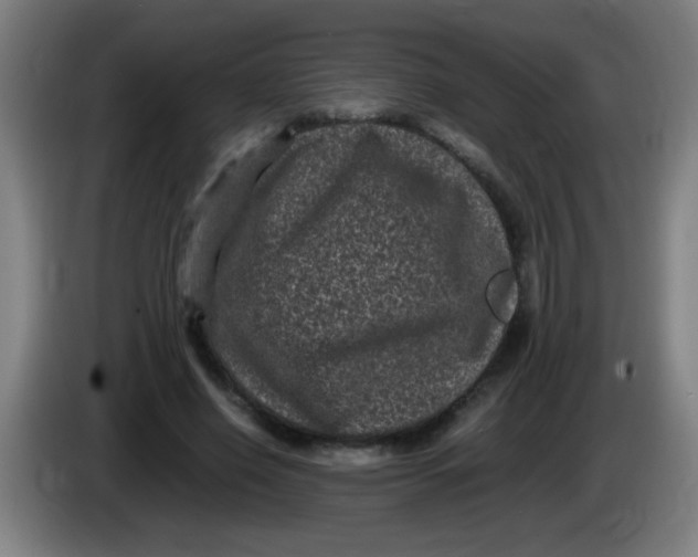 X0000085230638200703301726