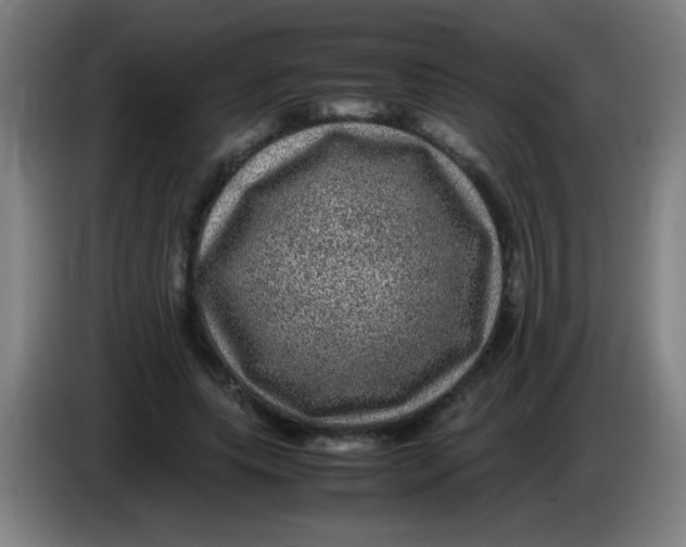 X0000085230639200703301726