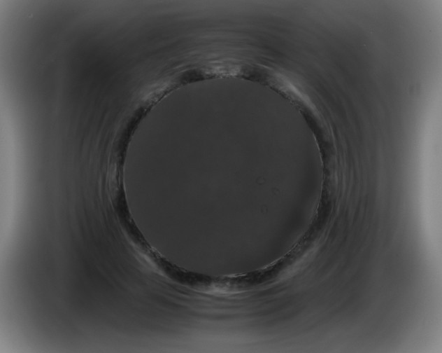 X0000085230641200703301726