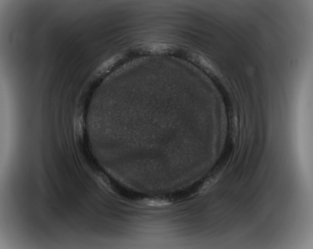 X0000085230644200703301726