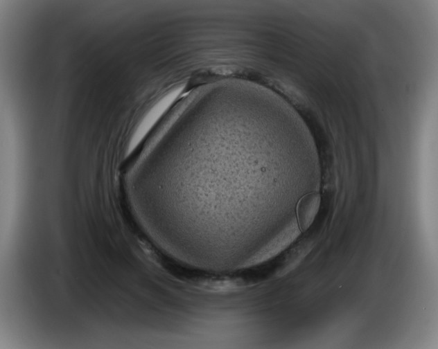 X0000085230646200703301726