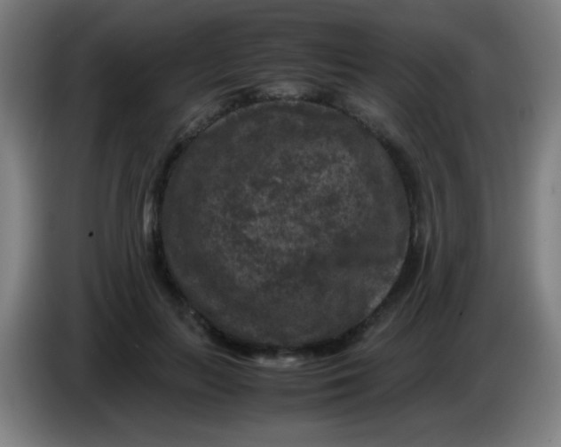 X0000085230647200703301726