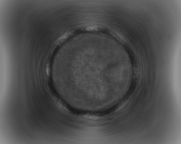 X0000085230648200703301726